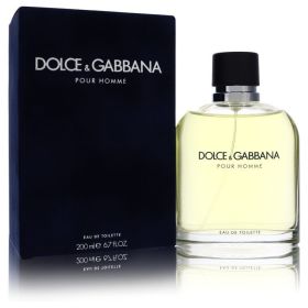 DOLCE & GABBANA by Dolce & Gabbana Eau De Toilette Spray (New) 6.7 oz